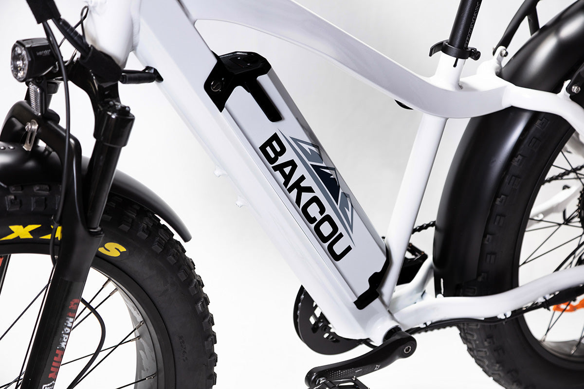 Flatlander Electric Mountain Bike